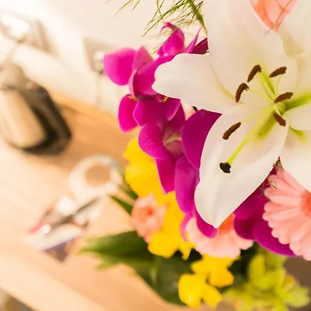 Отель Azur Riviera 4*